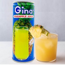 Suco de abacaxi / Gina 250ml